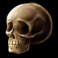 /album/exoticas-e-exotericas/skull-png/