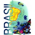 /album/brasil/a3178-1-jpg/