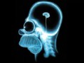 /album/simpsons/brain-homer-simpson-backgrounds-wallpapers-jpg/